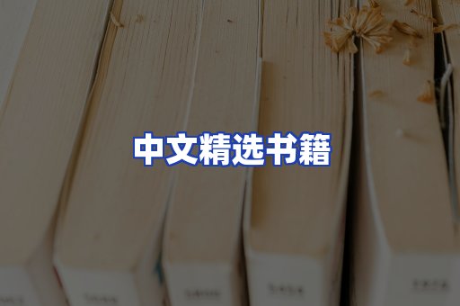 中文精选书籍